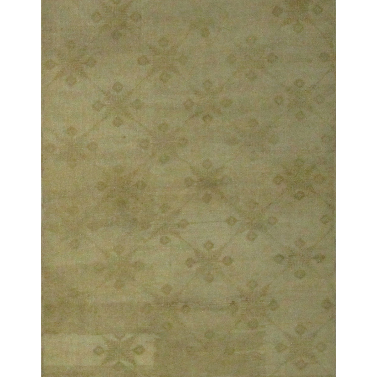 Pacific Anatolia  Camel Camel Transitional