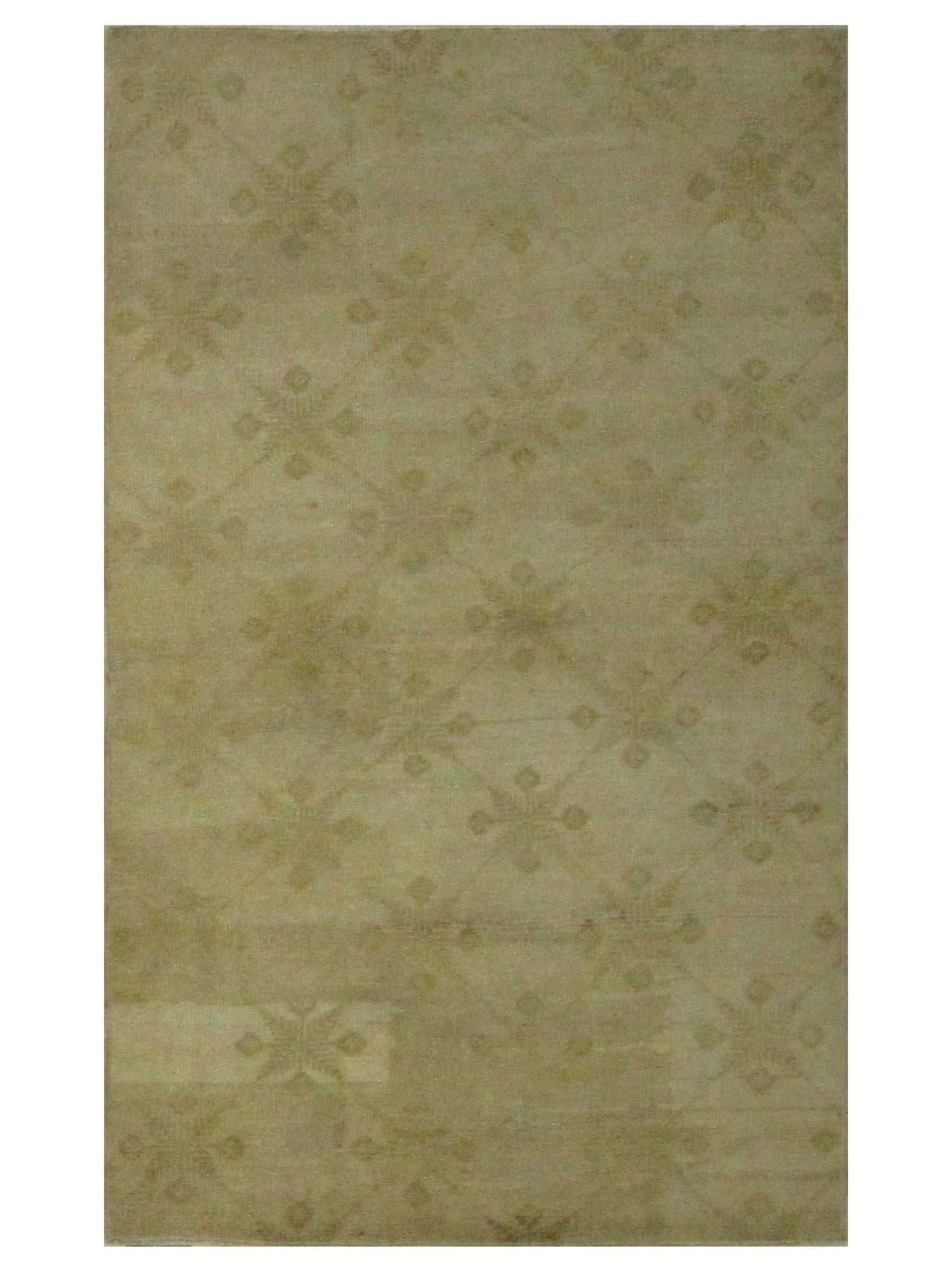 Pacific Anatolia  Camel Camel Transitional