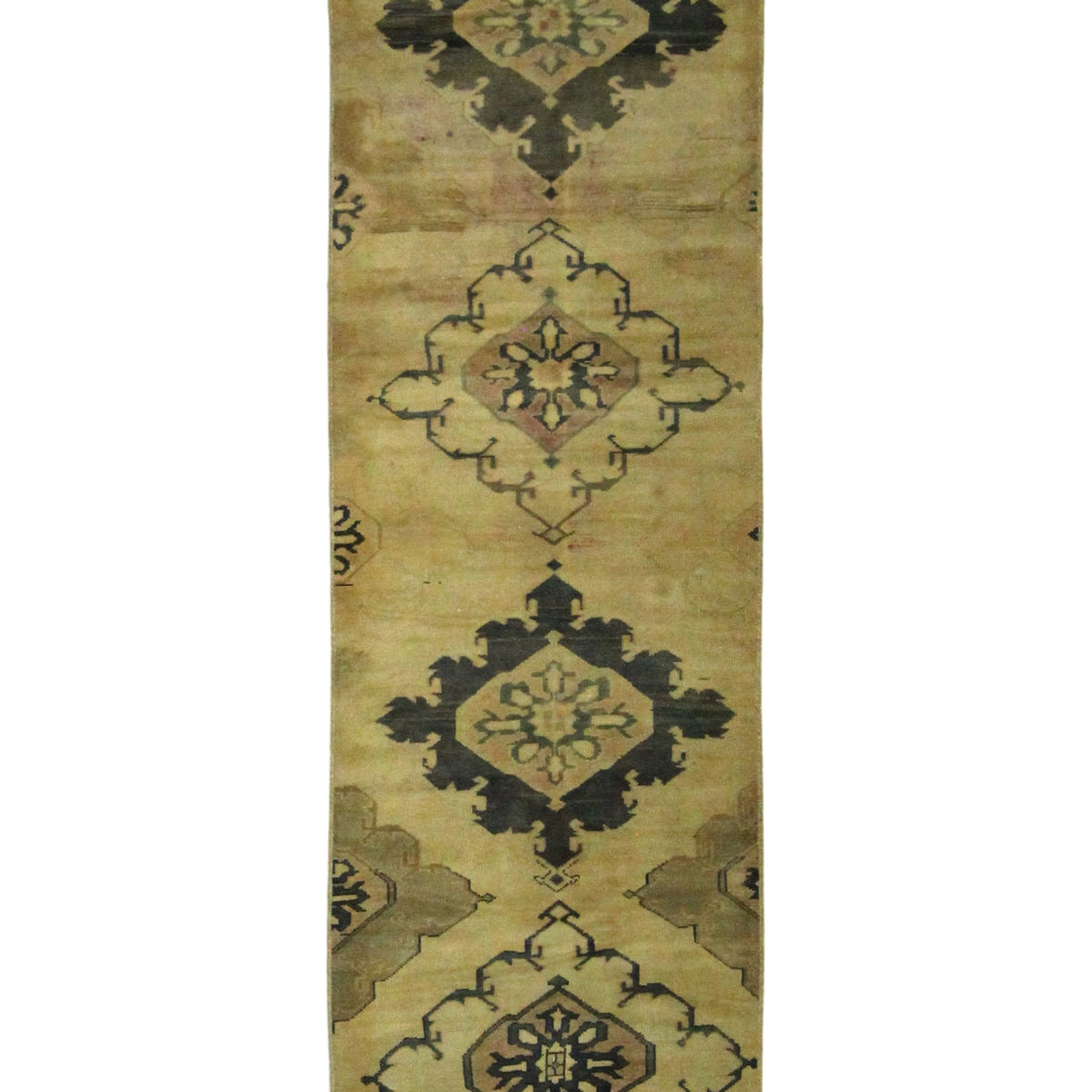 Pacific Anatolia  Camel Navy Transitional