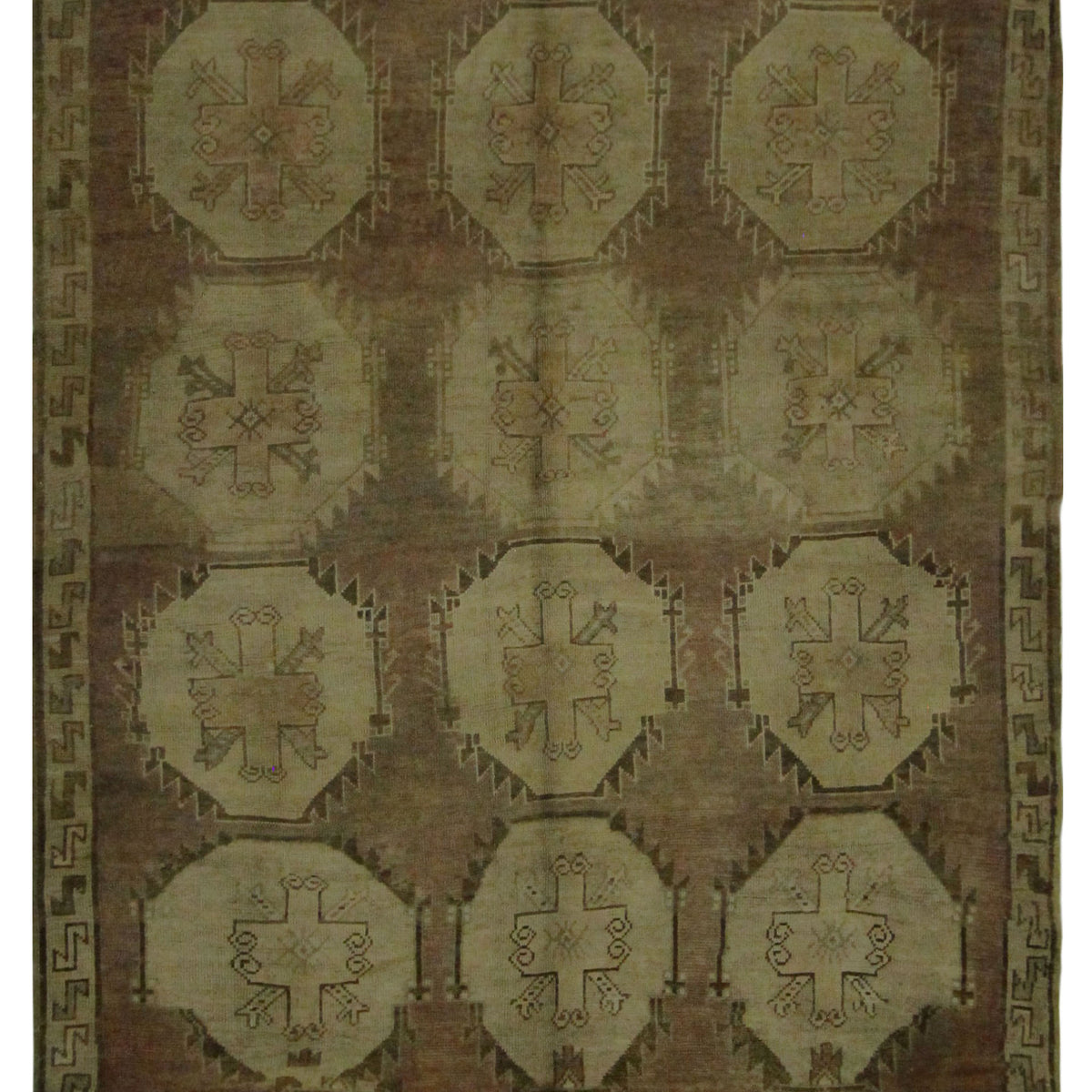 Pacific Kars  Camel Samen Transitional