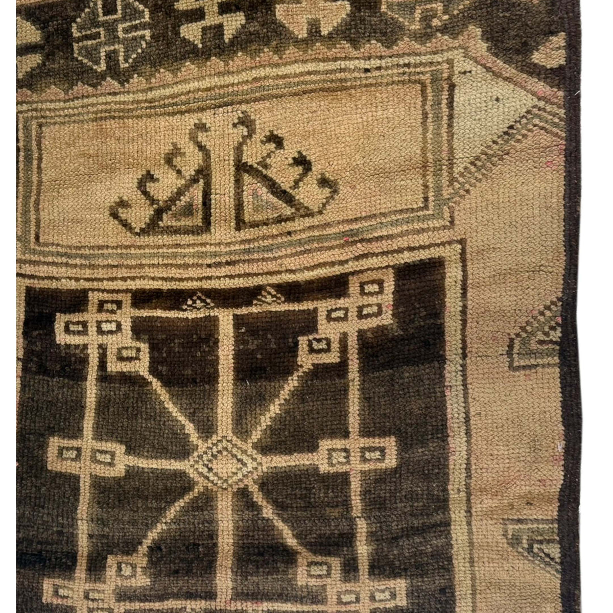 Pacific Kars 73622 Camel Brown Transitional Hand Knotted Rug