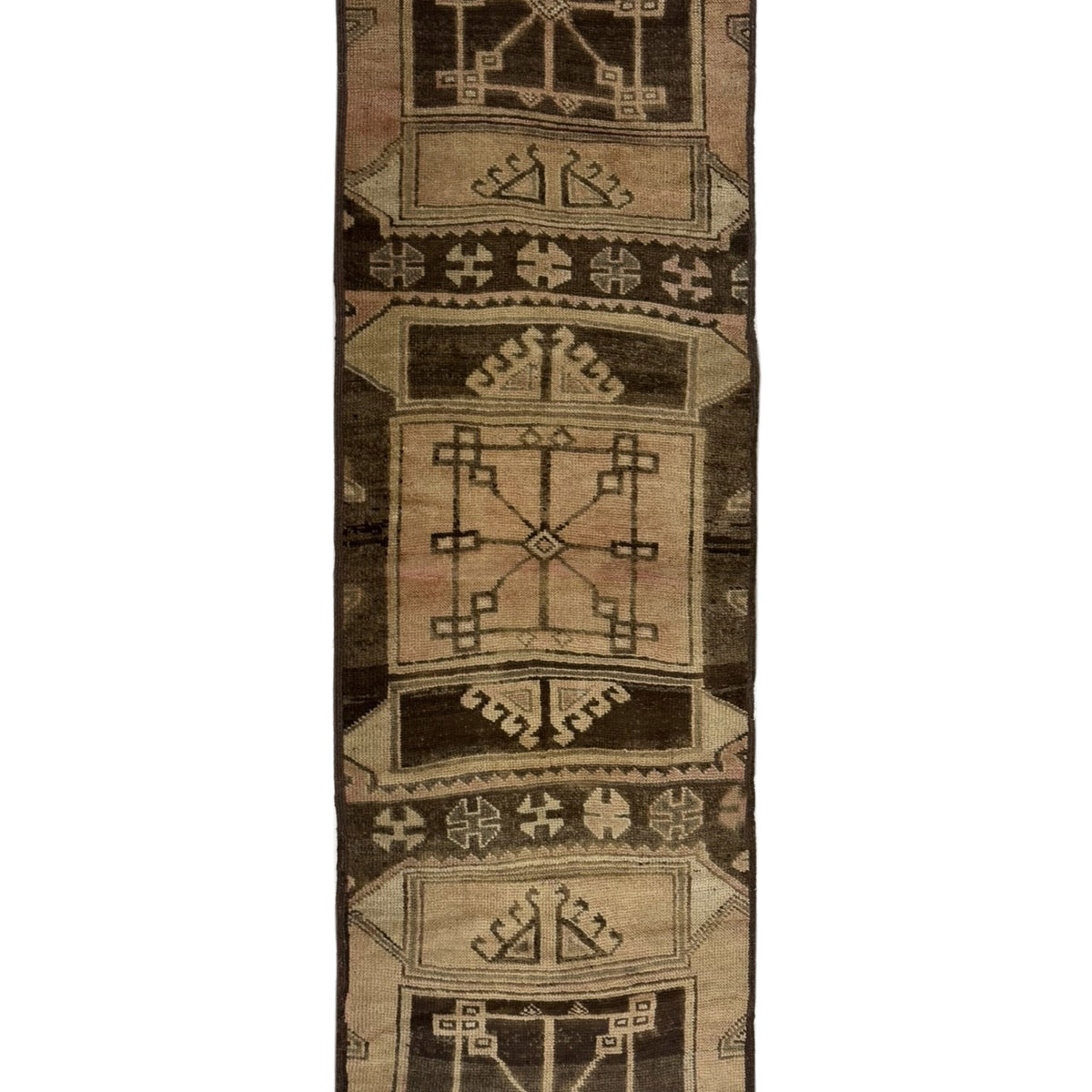 Pacific Kars  Camel Brown Transitional