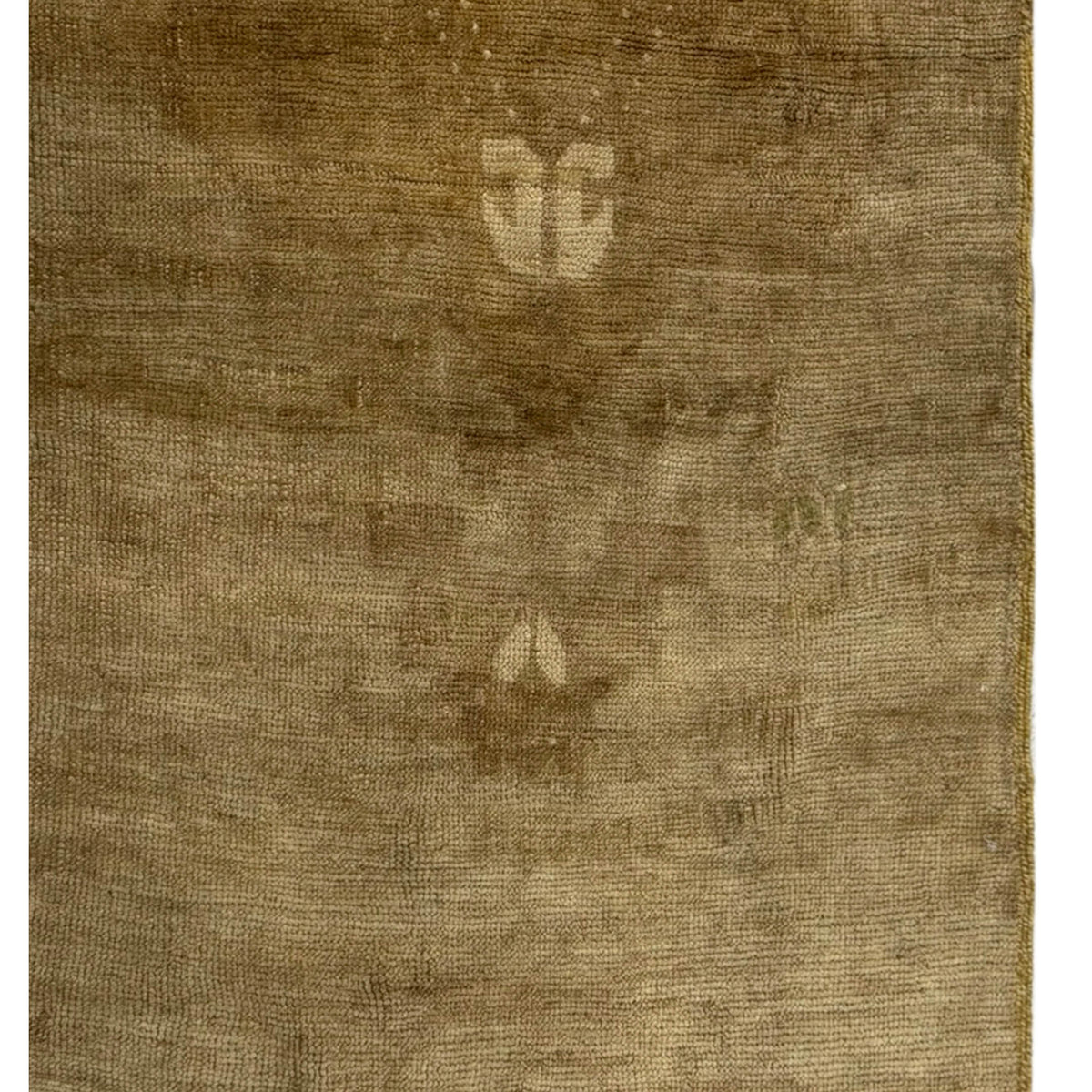 Pacific Kars 73625 Camel Latte Transitional Hand Knotted Rug