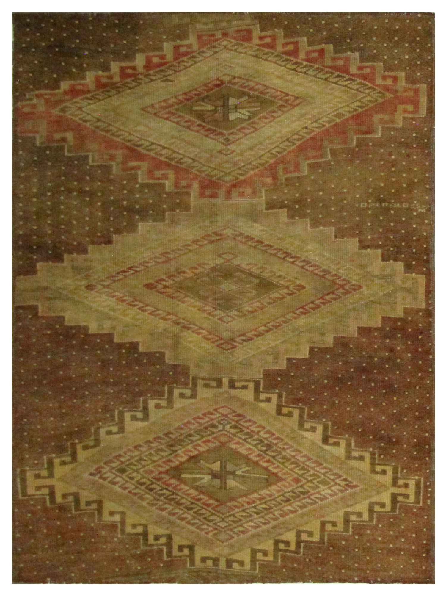 Pacific Kars  Camel Brown Transitional