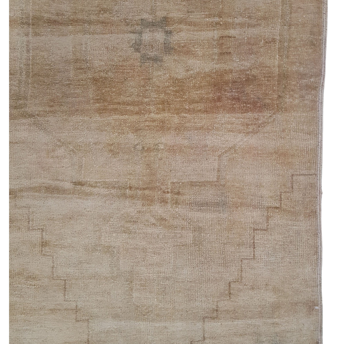Pacific Anatolia 73637 Camel Latte Transitional Hand Knotted Rug