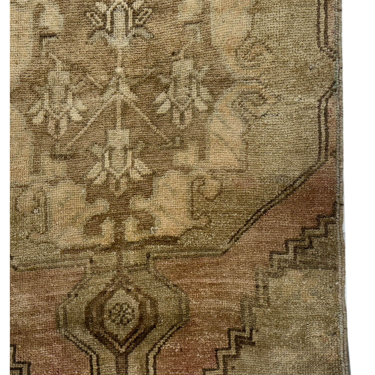Pacific Anatolia 73638 Camel Latte Transitional Hand Knotted Rug