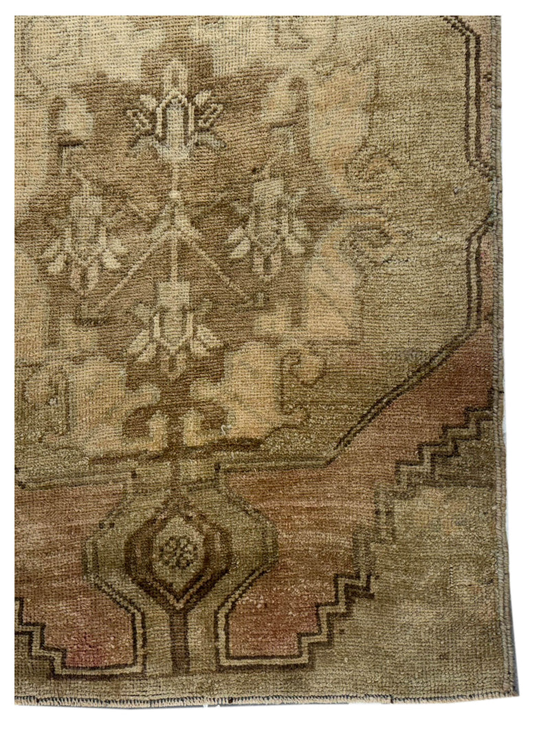 Pacific Anatolia 73638 Camel Latte Transitional Hand Knotted Rug