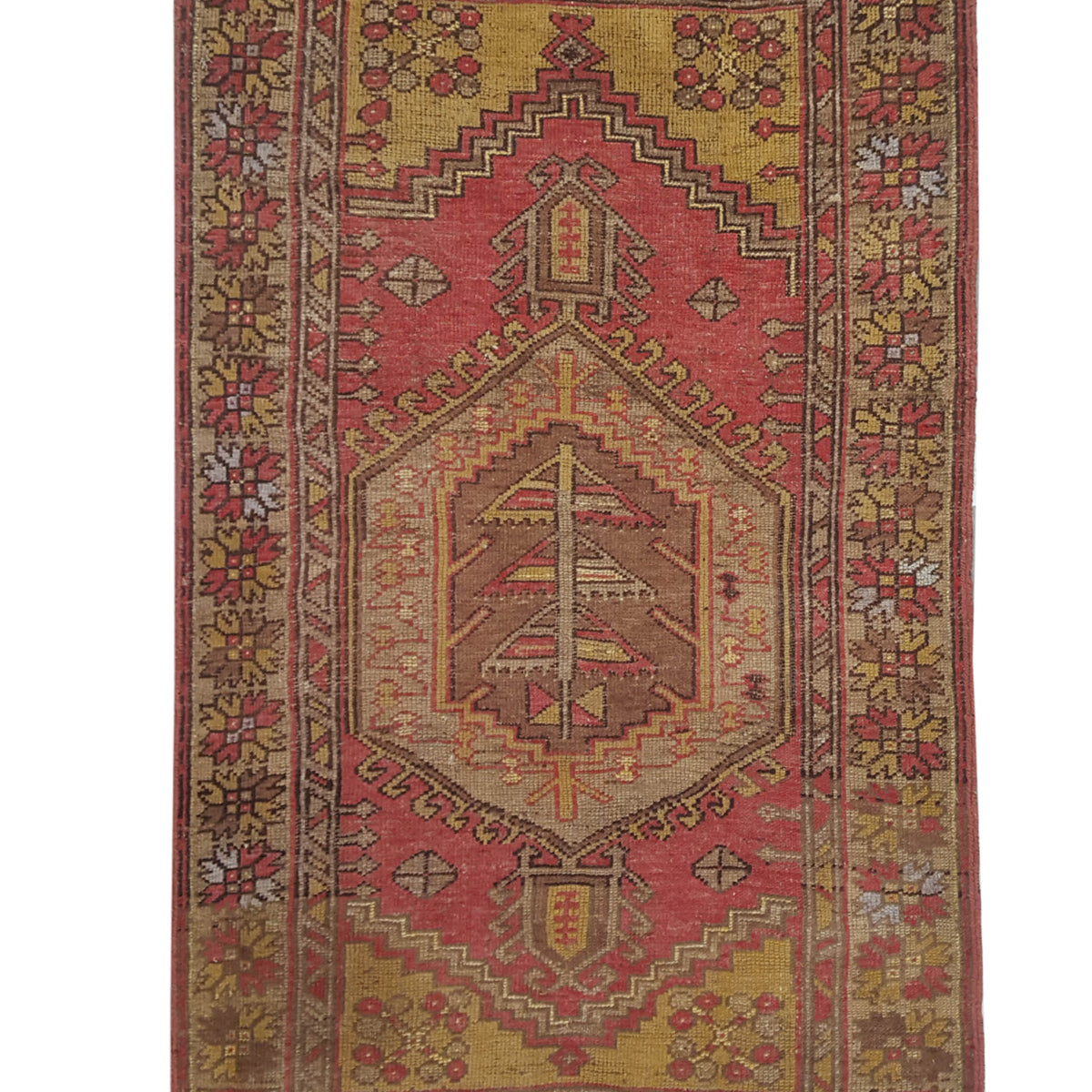 Pacific Anatolia  Rust Gold Transitional