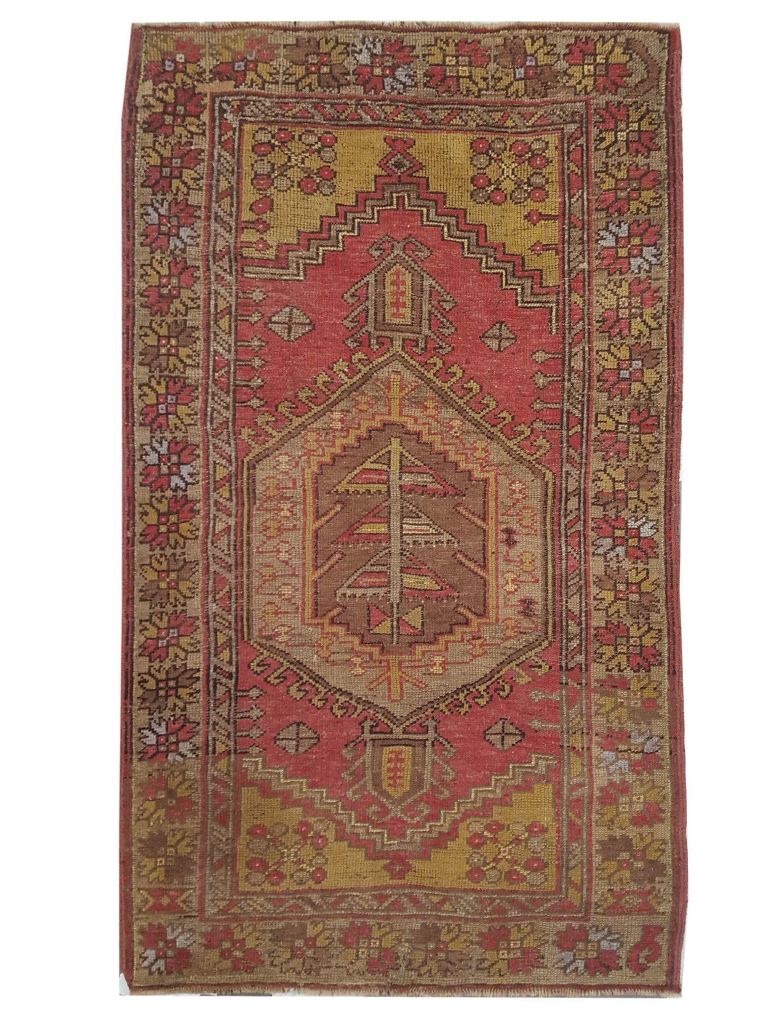 Pacific Anatolia  Rust Gold Transitional
