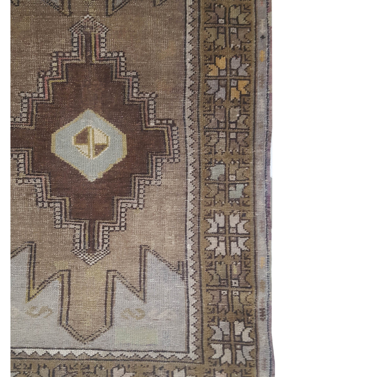 Pacific Anatolia 73651 Latte Mocha Transitional Hand Knotted Rug