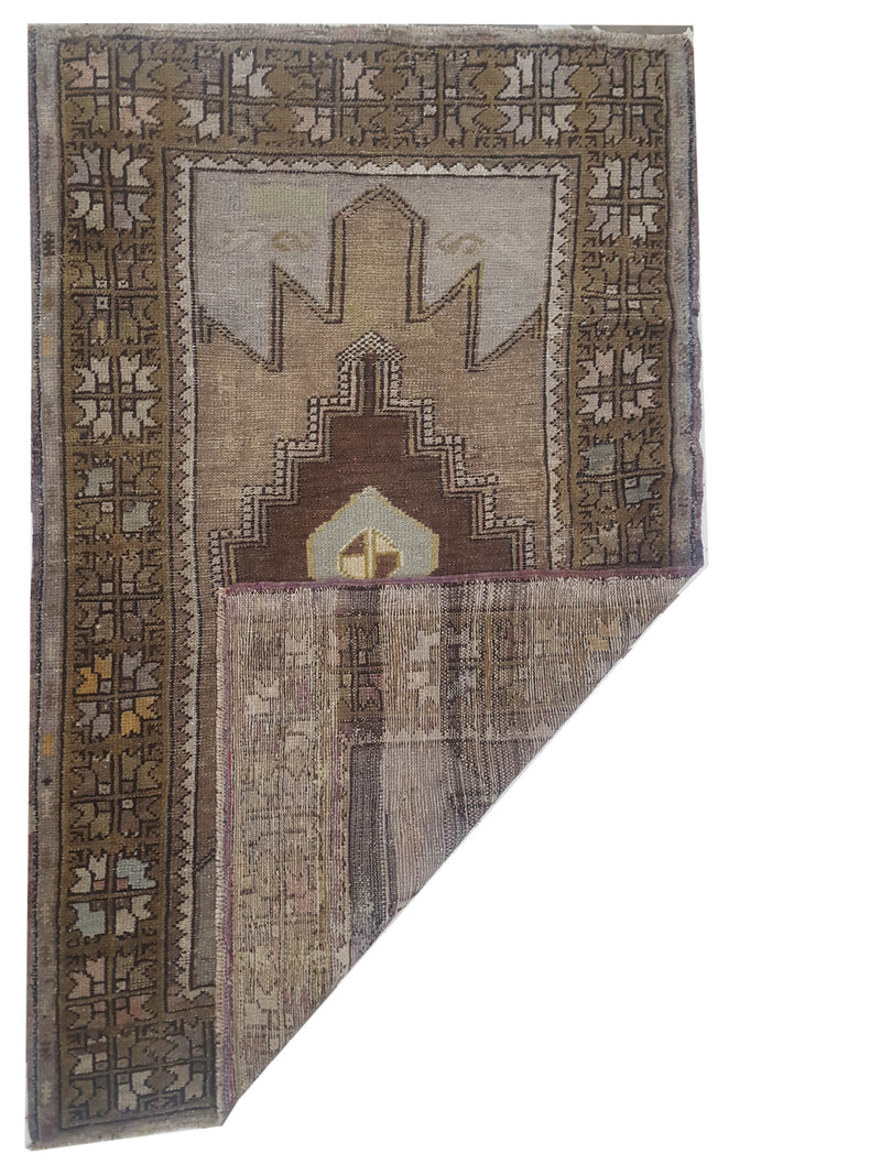 Pacific Anatolia 73651 Latte Mocha Transitional Hand Knotted Rug