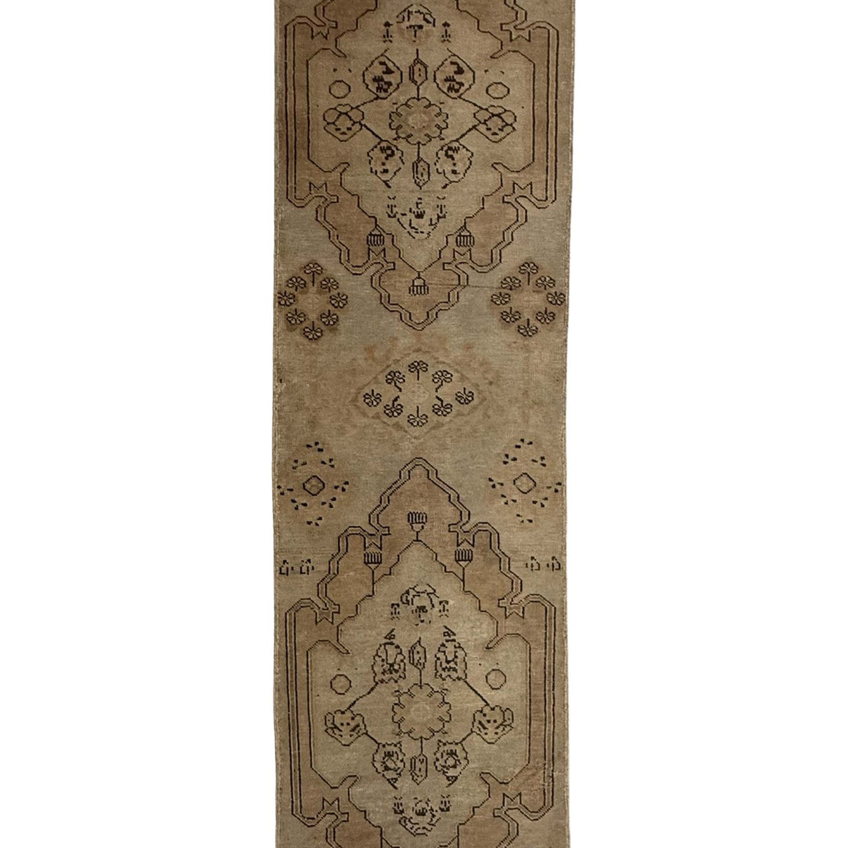 Pacific Anatolia  Camel Brown Transitional