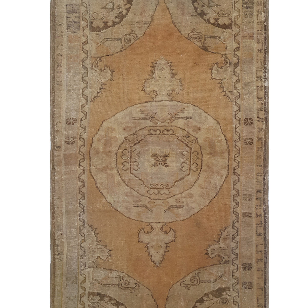 Pacific Anatolia  Gold Camel Transitional
