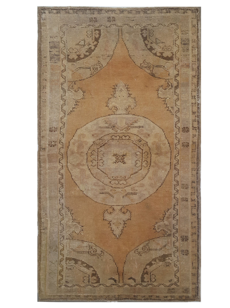 Pacific Anatolia  Gold Camel Transitional