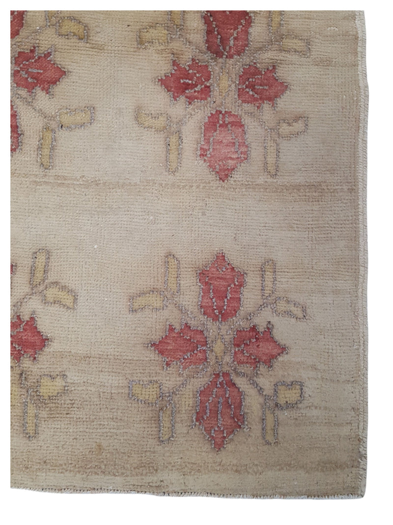 Pacific Anatolia 73668 Beige Rose Transitional Hand Knotted Rug