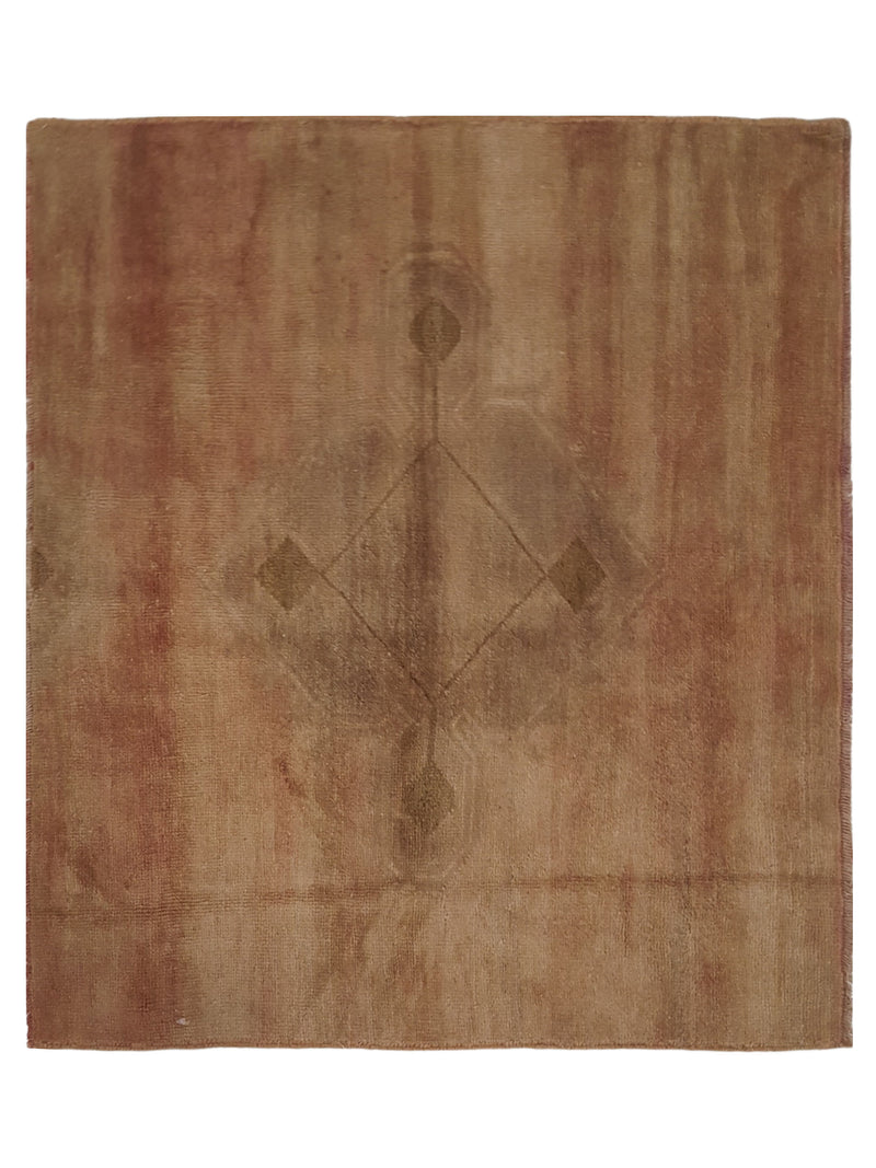 Pacific Anatolia  Rose Rose Transitional