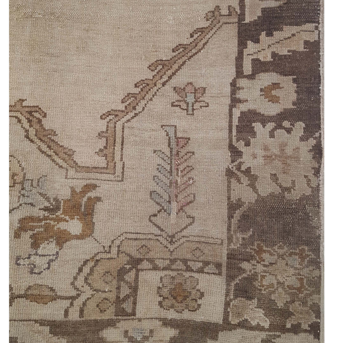 Pacific Kars 73683 Camel Latte Transitional Hand Knotted Rug