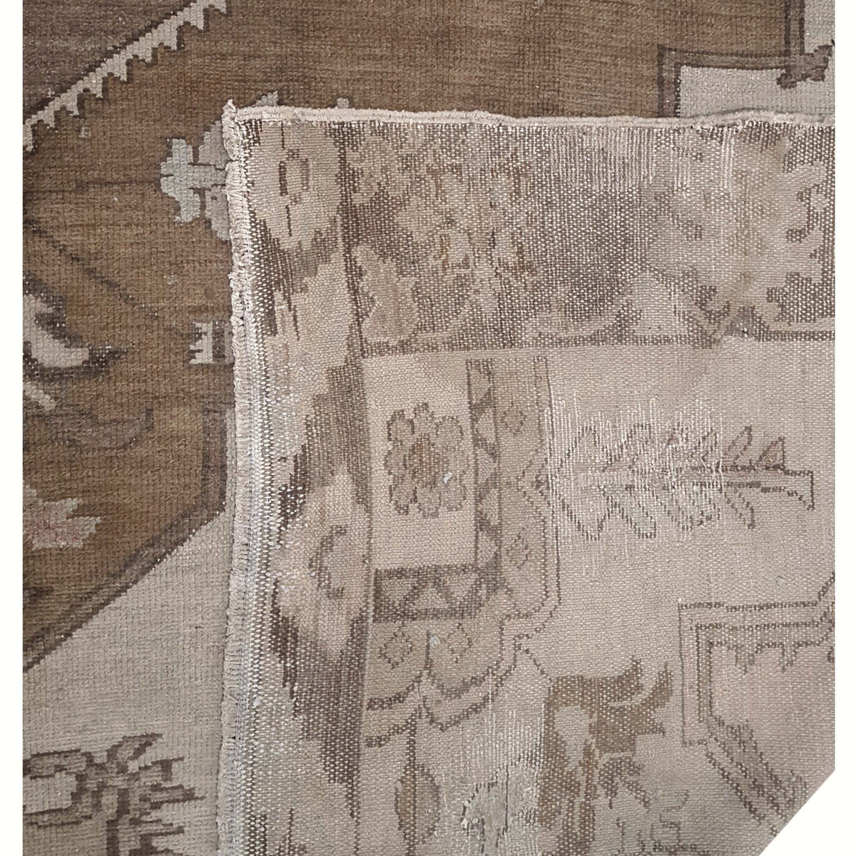 Pacific Kars 73683 Camel Latte Transitional Hand Knotted Rug