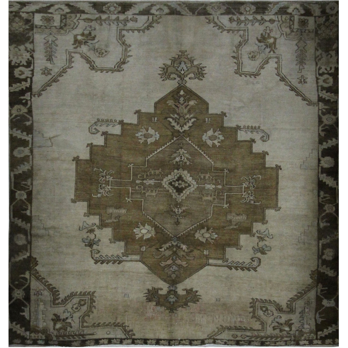 Pacific Kars  Camel Latte Transitional