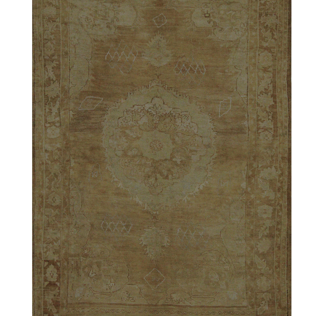 Pacific Kars  Beige Camel Transitional