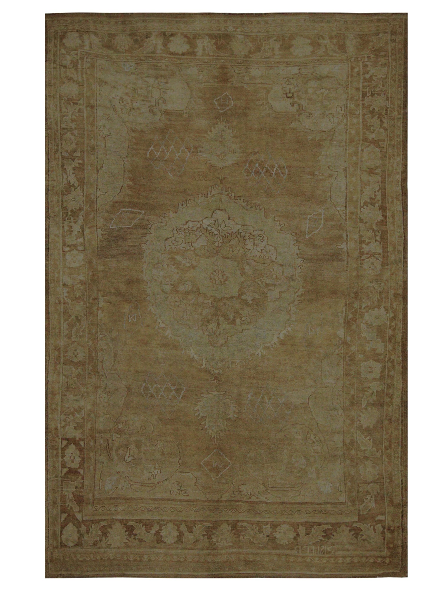 Pacific Kars  Beige Camel Transitional
