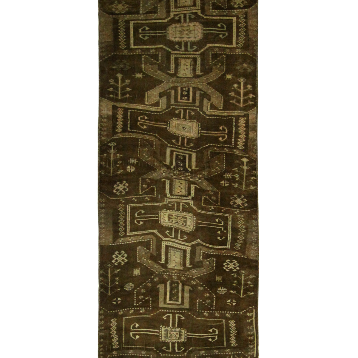 Pacific Kars  Latte Beige Transitional