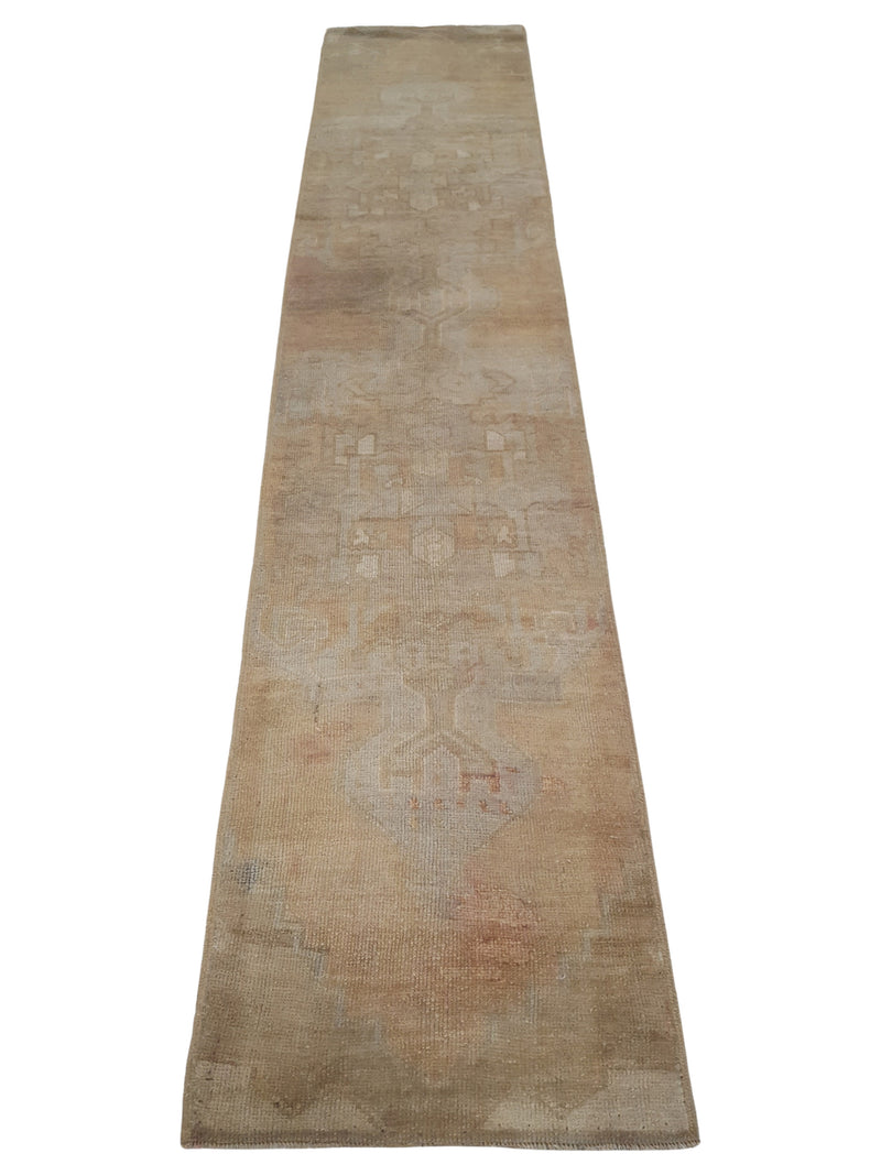 Pacific Anatolia  Camel Teal Transitional