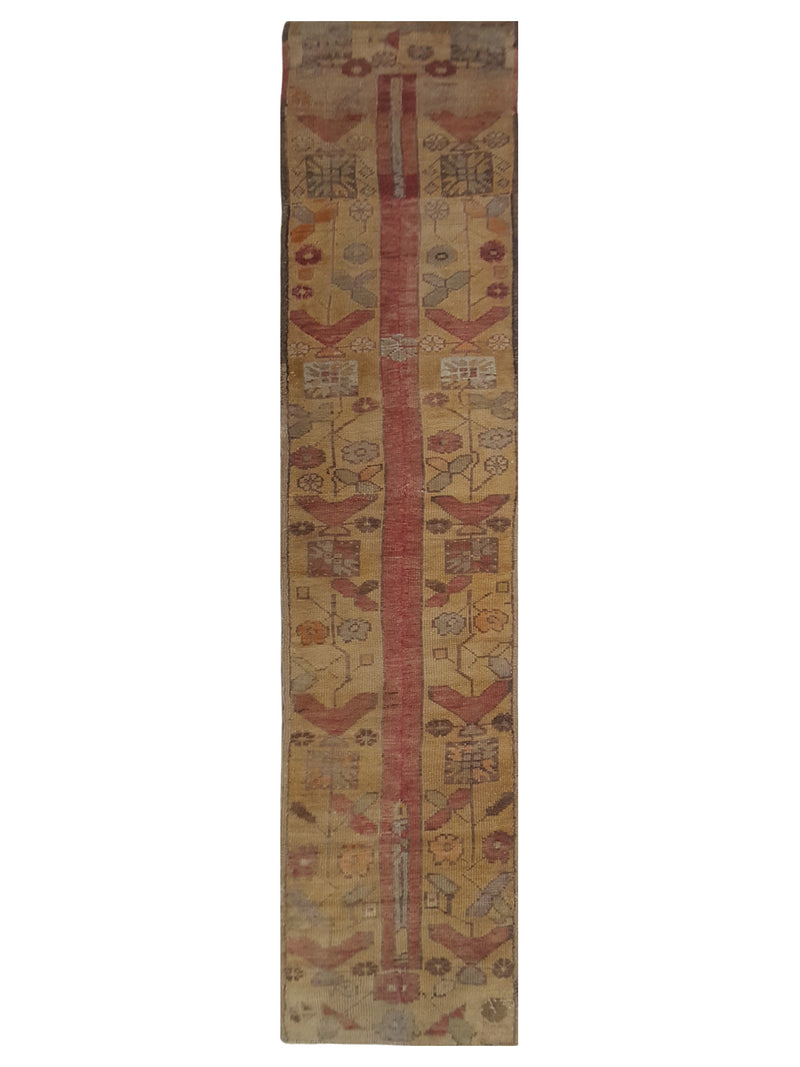 Pacific Anatolia  Camel Red Transitional