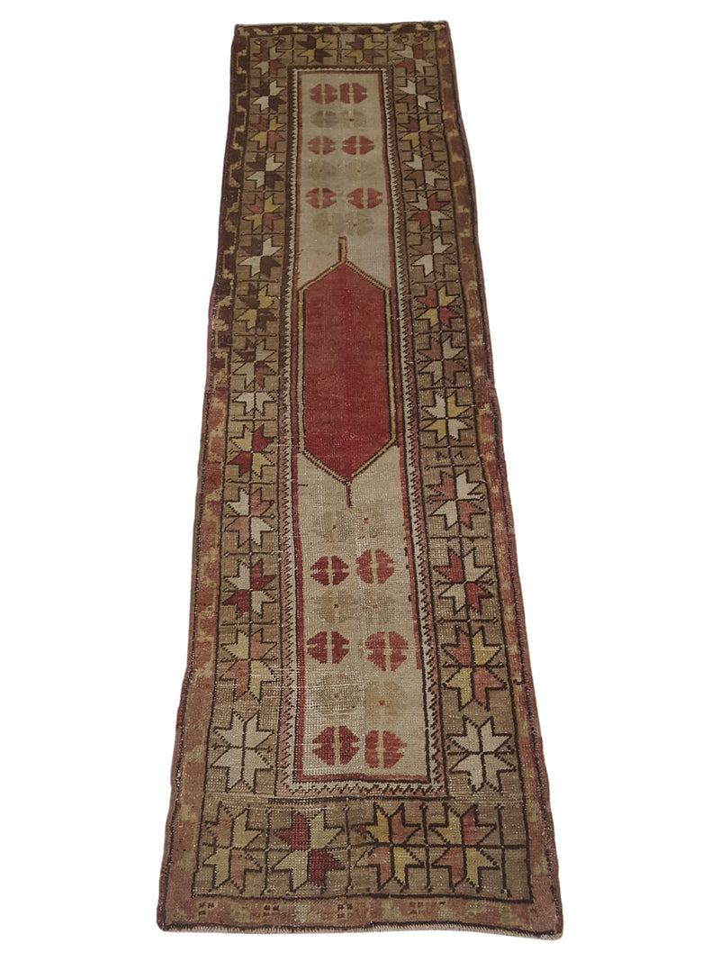 Pacific Anatolia  Ivory Brown Transitional