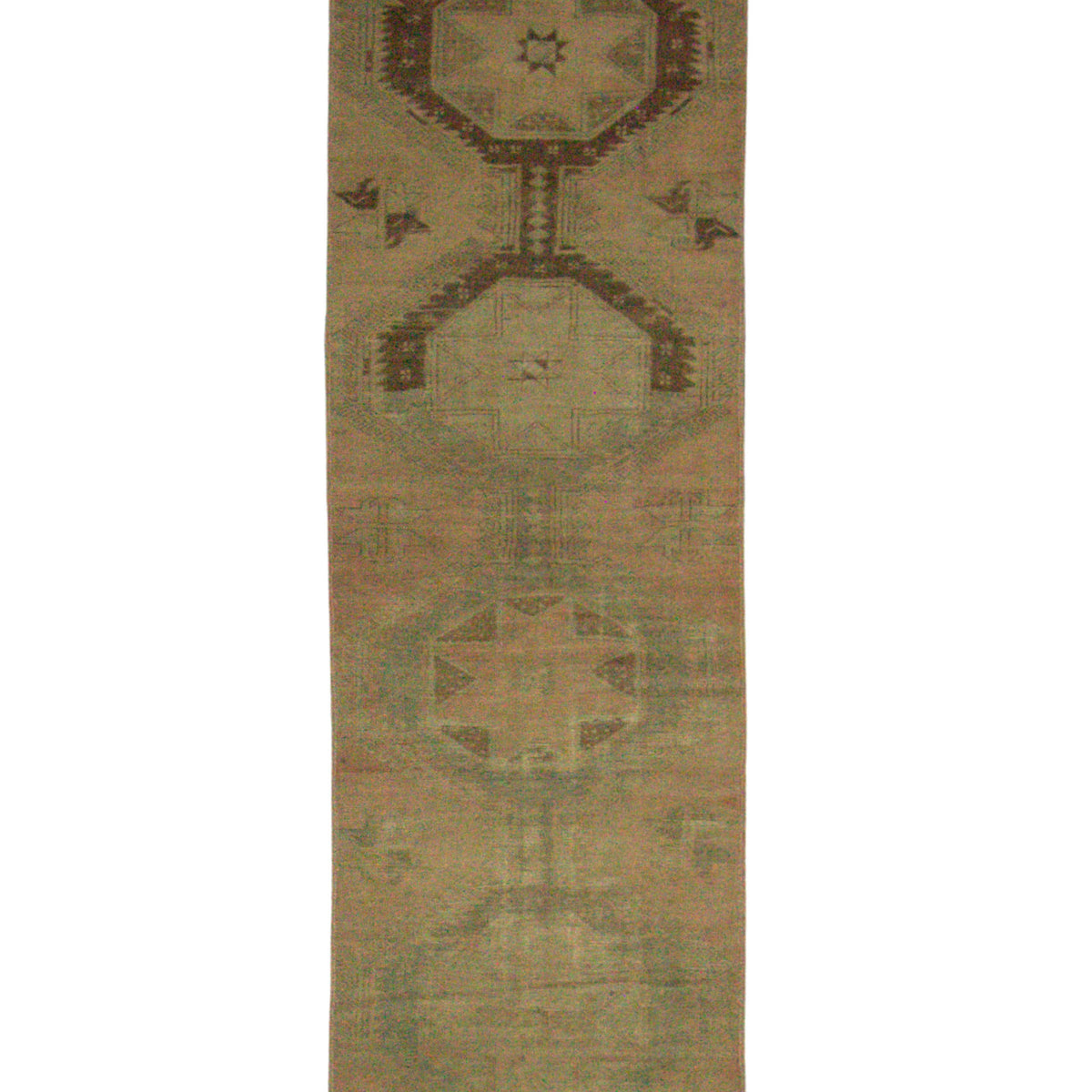 Pacific Anatolia  Camel Samen Transitional