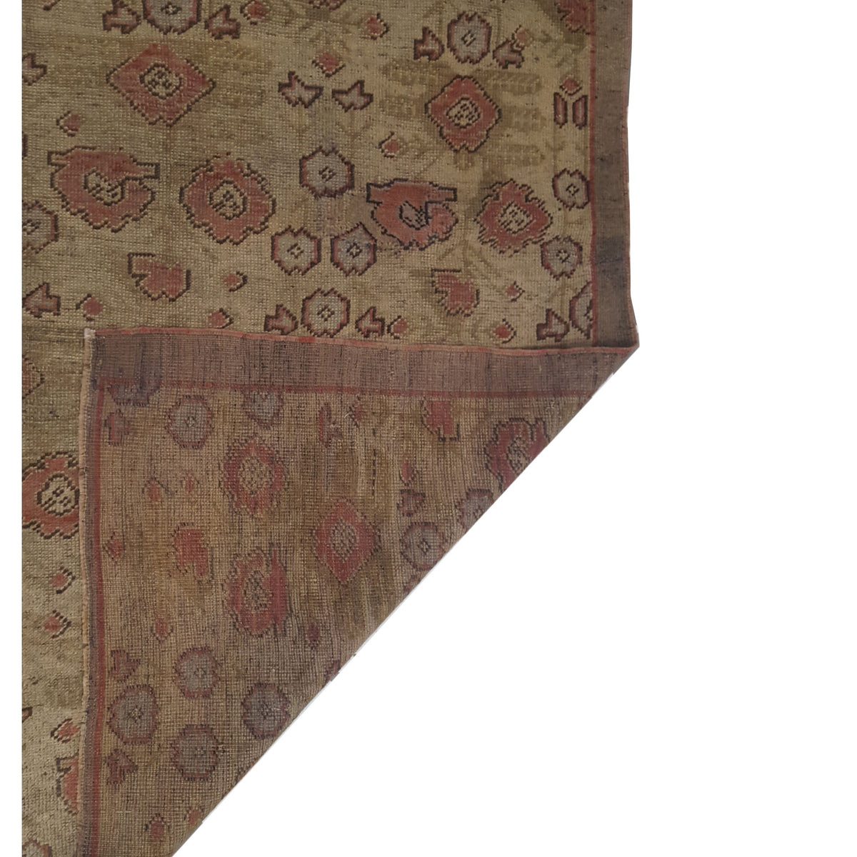 Pacific Anatolia 73772 Camel Rust Transitional Hand Knotted Rug