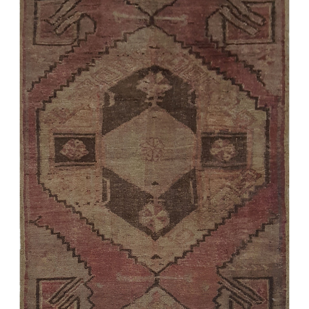Pacific Anatolia  Rust Camel Transitional