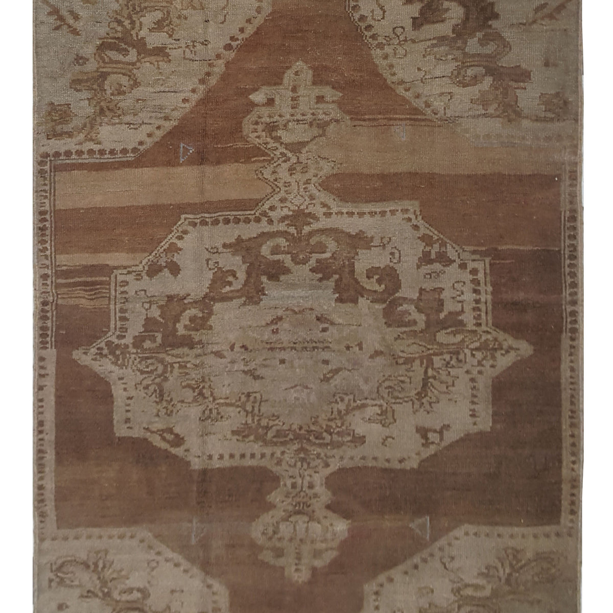 Pacific Anatolia  Camel Latte Transitional