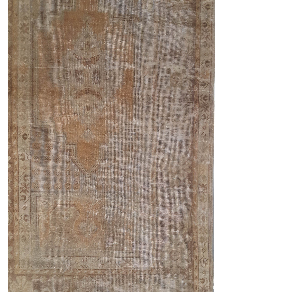 Pacific Anatolia 73793 Latte Beige Transitional Hand Knotted Rug