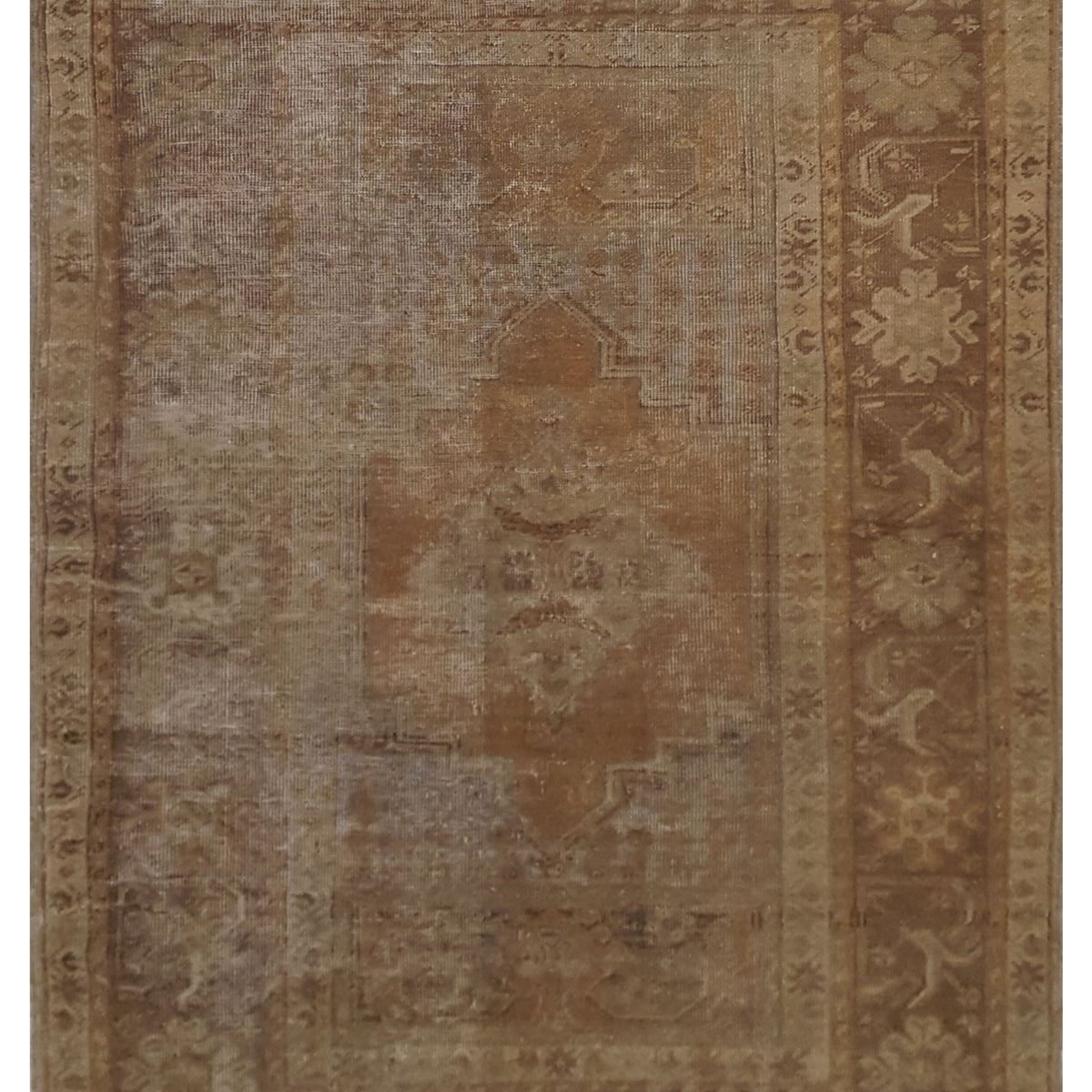 Pacific Anatolia  Latte Beige Transitional