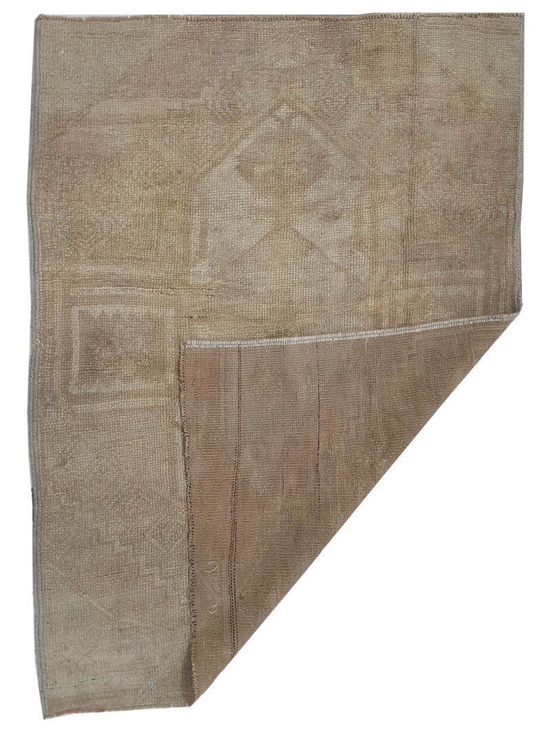 Pacific Anatolia 73801 Beige Beige Transitional Hand Knotted Rug