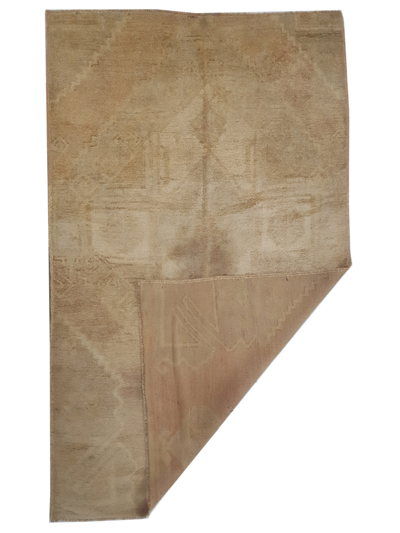 Pacific Anatolia 73802 Beige Beige Transitional Hand Knotted Rug