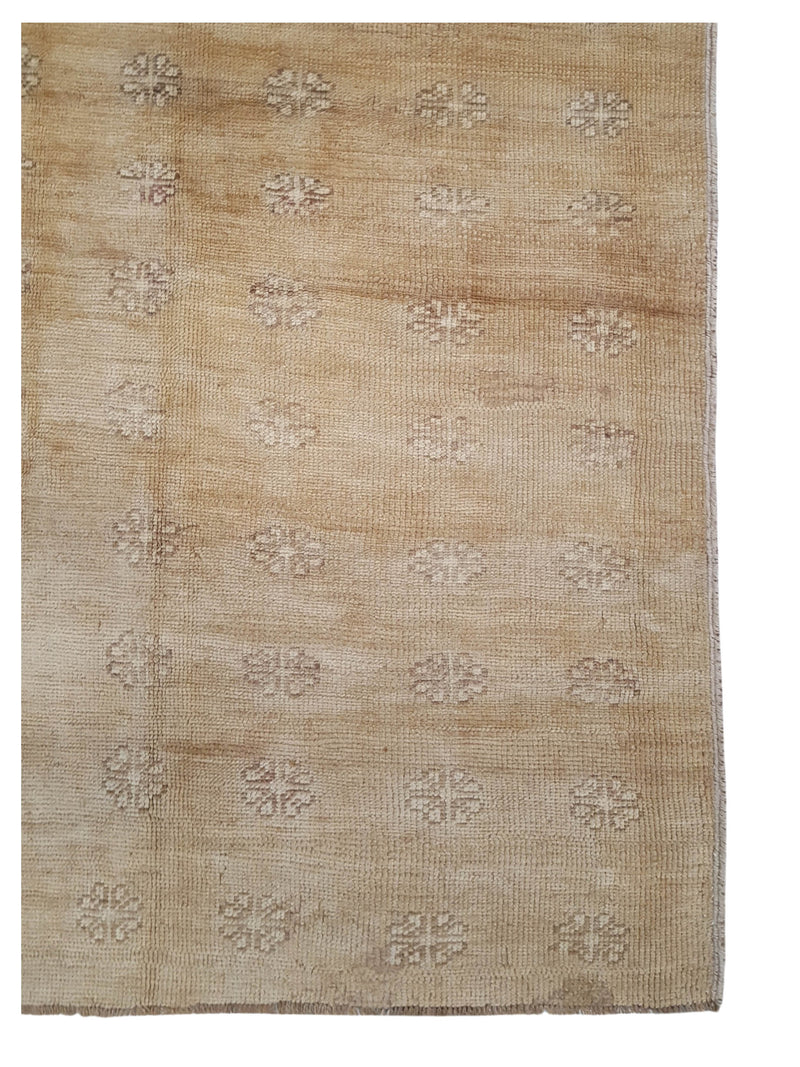 Pacific Kars 73820 Beige Latte Transitional Hand Knotted Rug