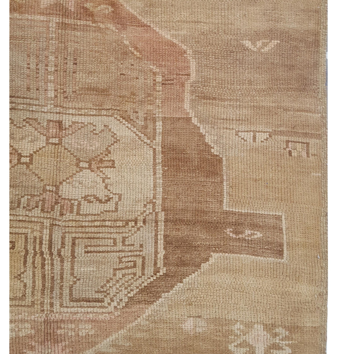 Pacific Kars 73821 Beige Camel Transitional Hand Knotted Rug