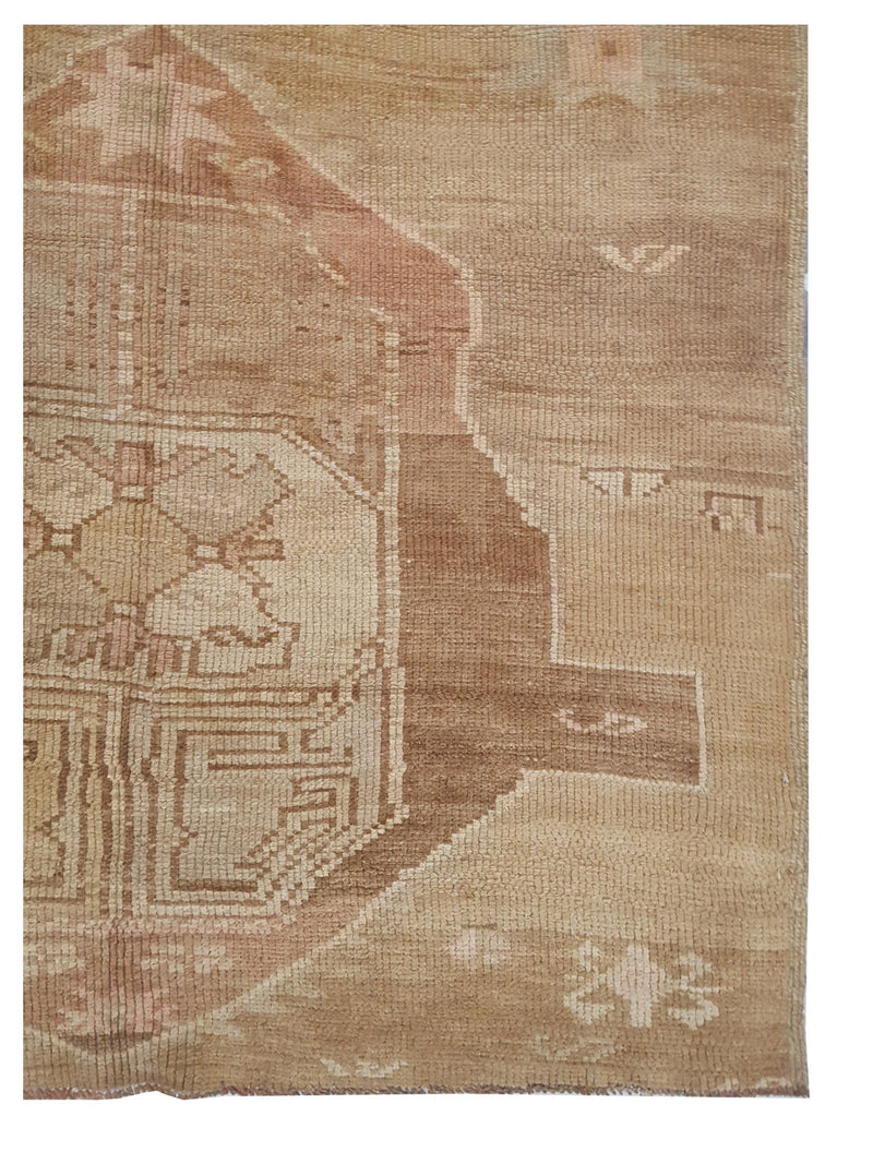 Pacific Kars 73821 Beige Camel Transitional Hand Knotted Rug