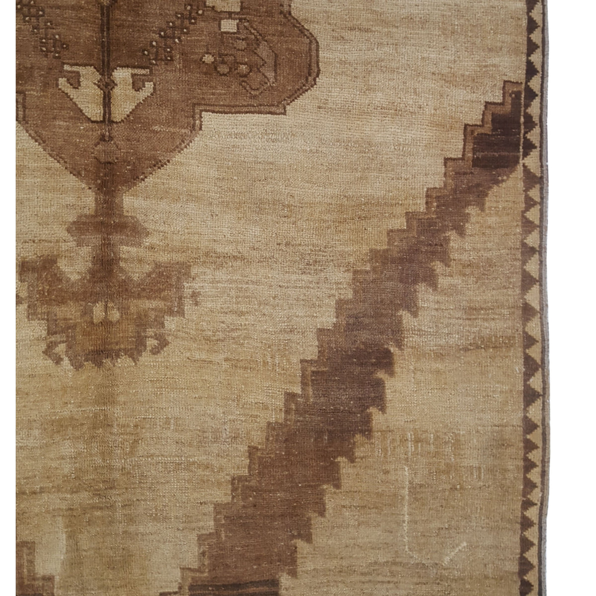 Pacific Kars 73822 Beige Camel Transitional Hand Knotted Rug