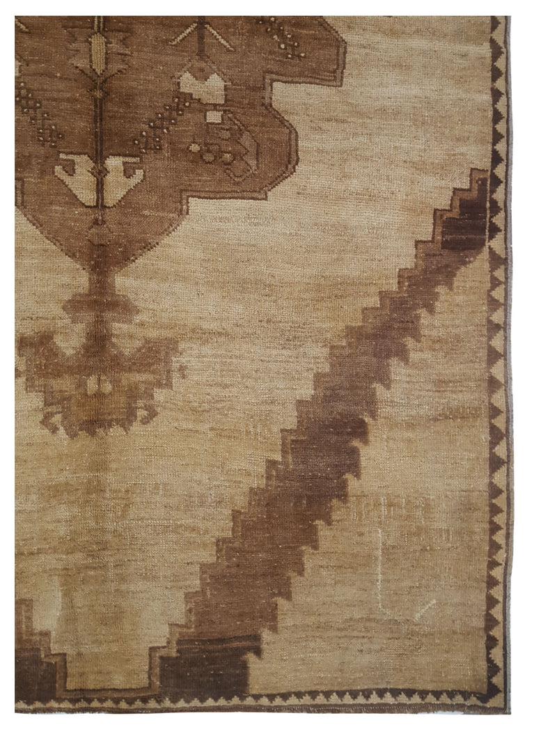 Pacific Kars 73822 Beige Camel Transitional Hand Knotted Rug