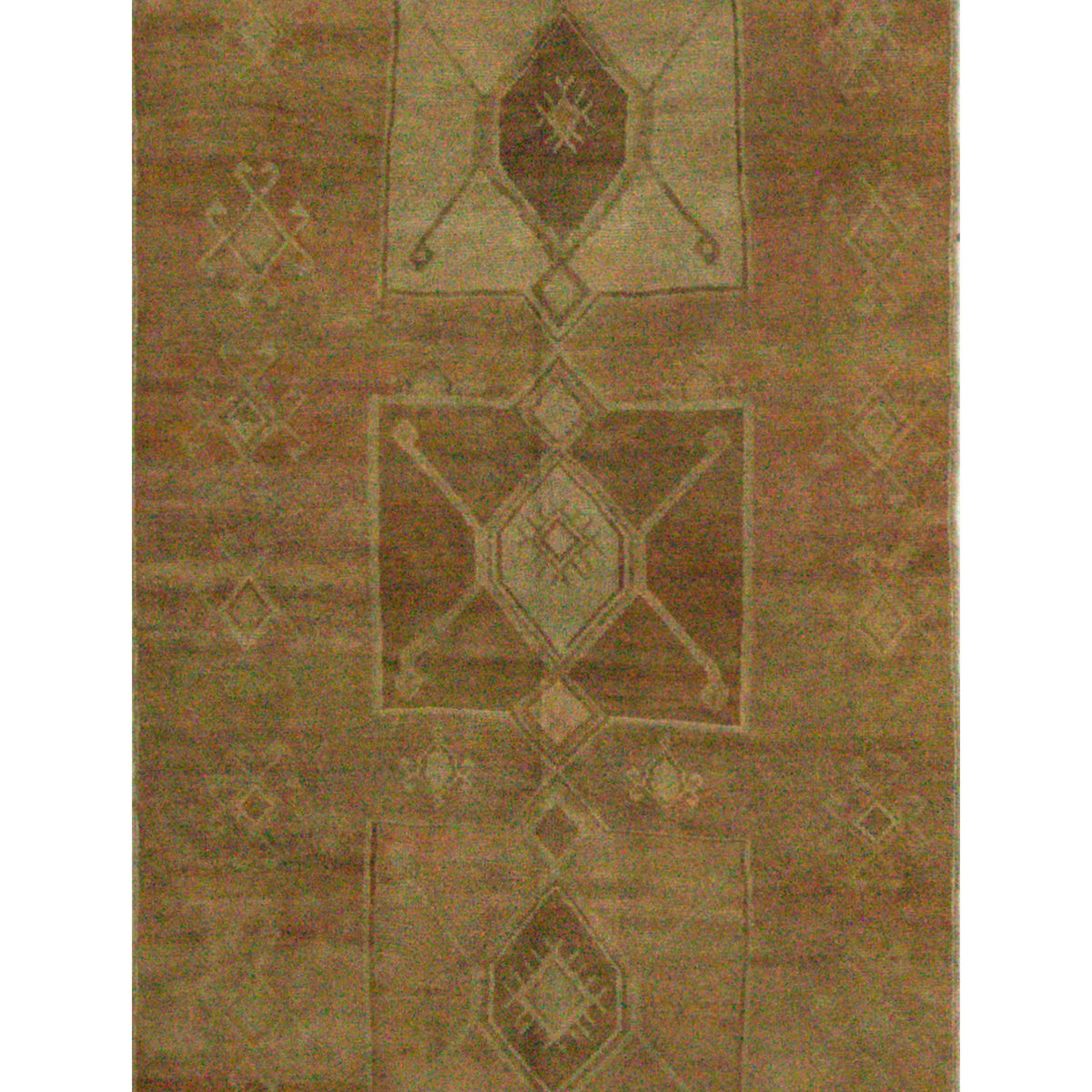Pacific Kars  Beige Camel Transitional