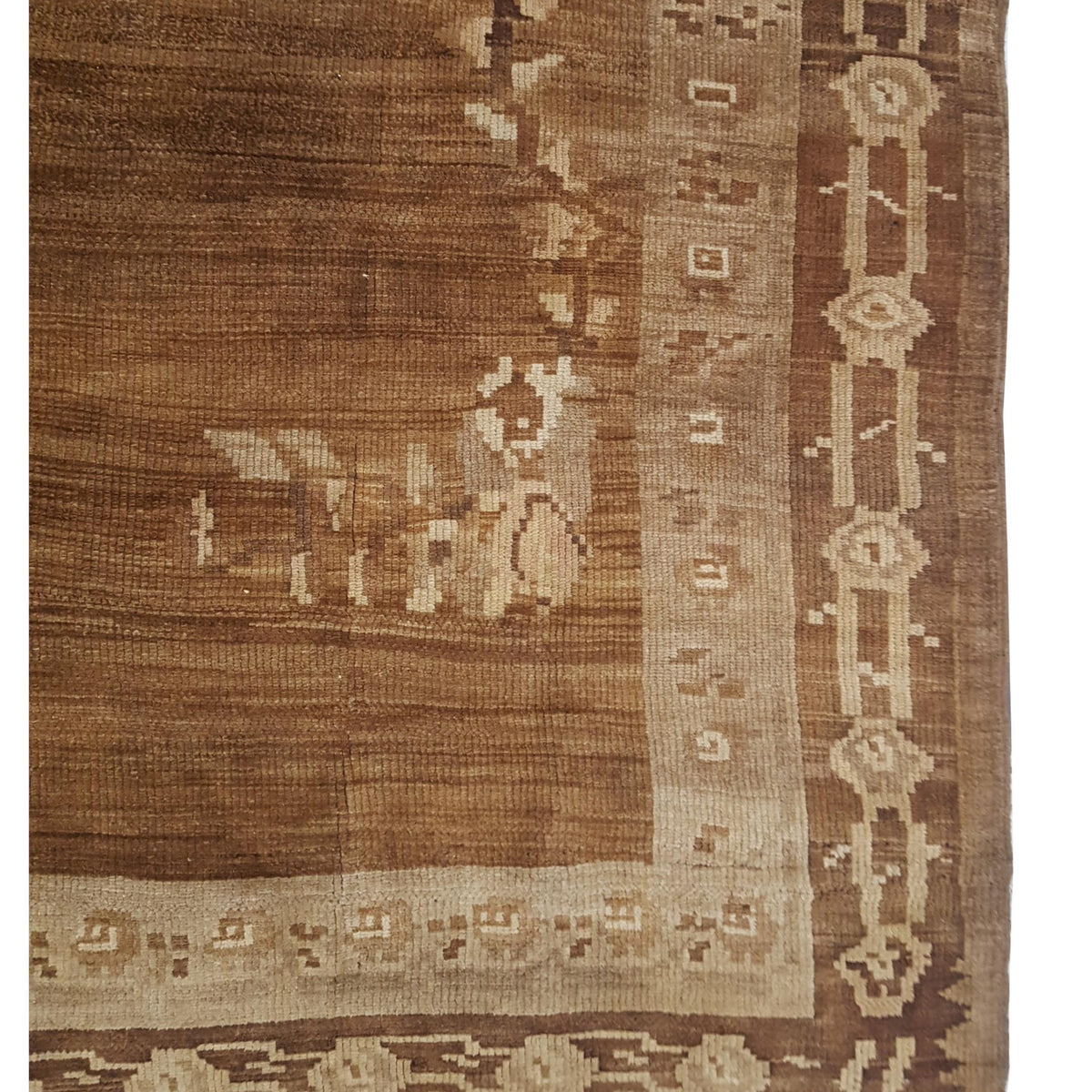 Pacific Kars 73832 Beige Camel Transitional Hand Knotted Rug