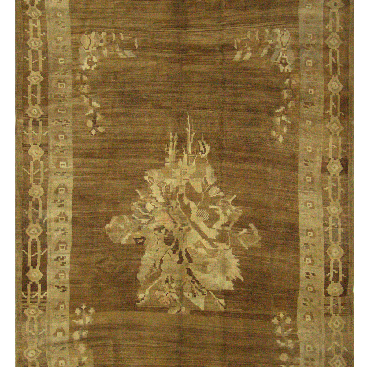 Pacific Kars  Beige Camel Transitional