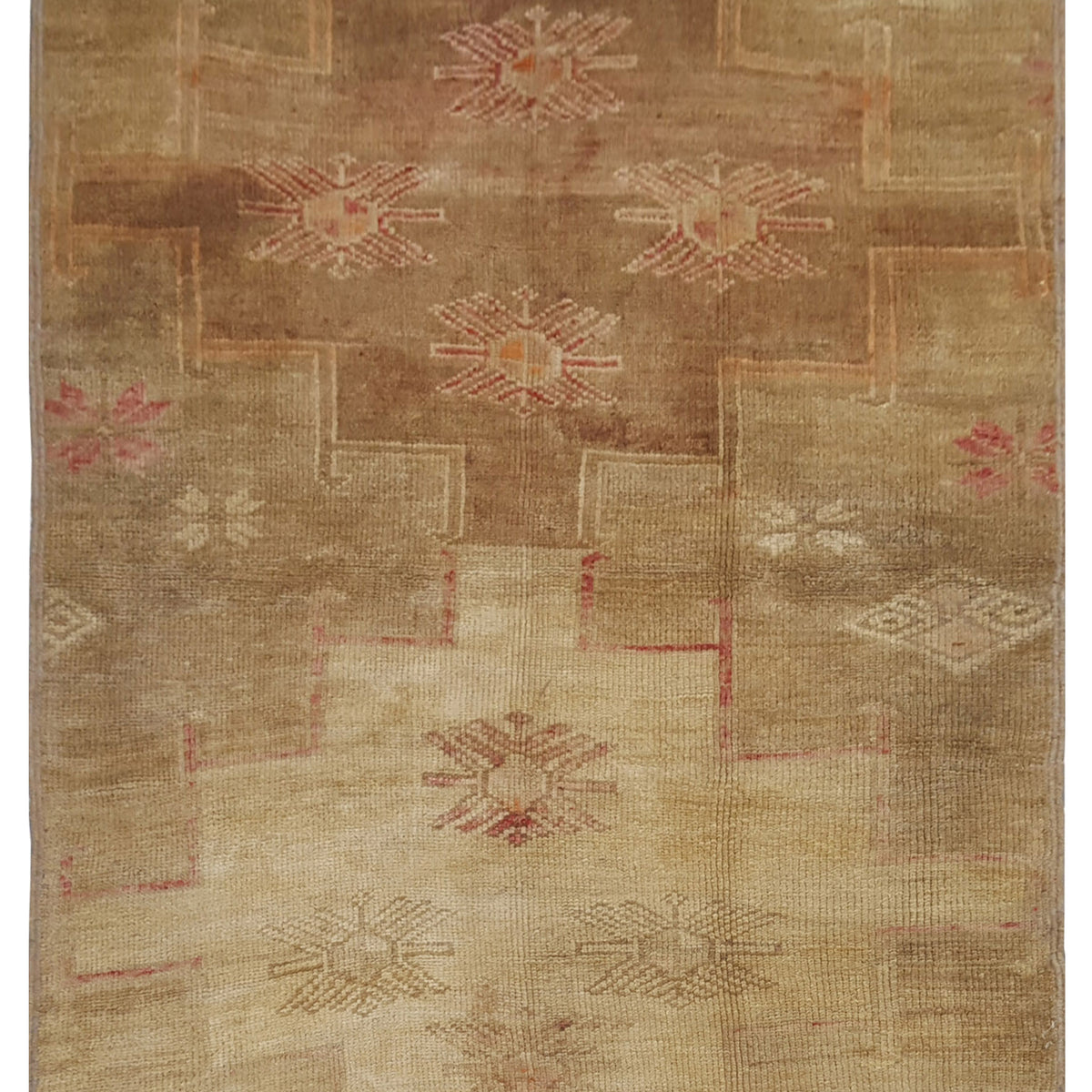 Pacific Kars  Camel Beige Transitional