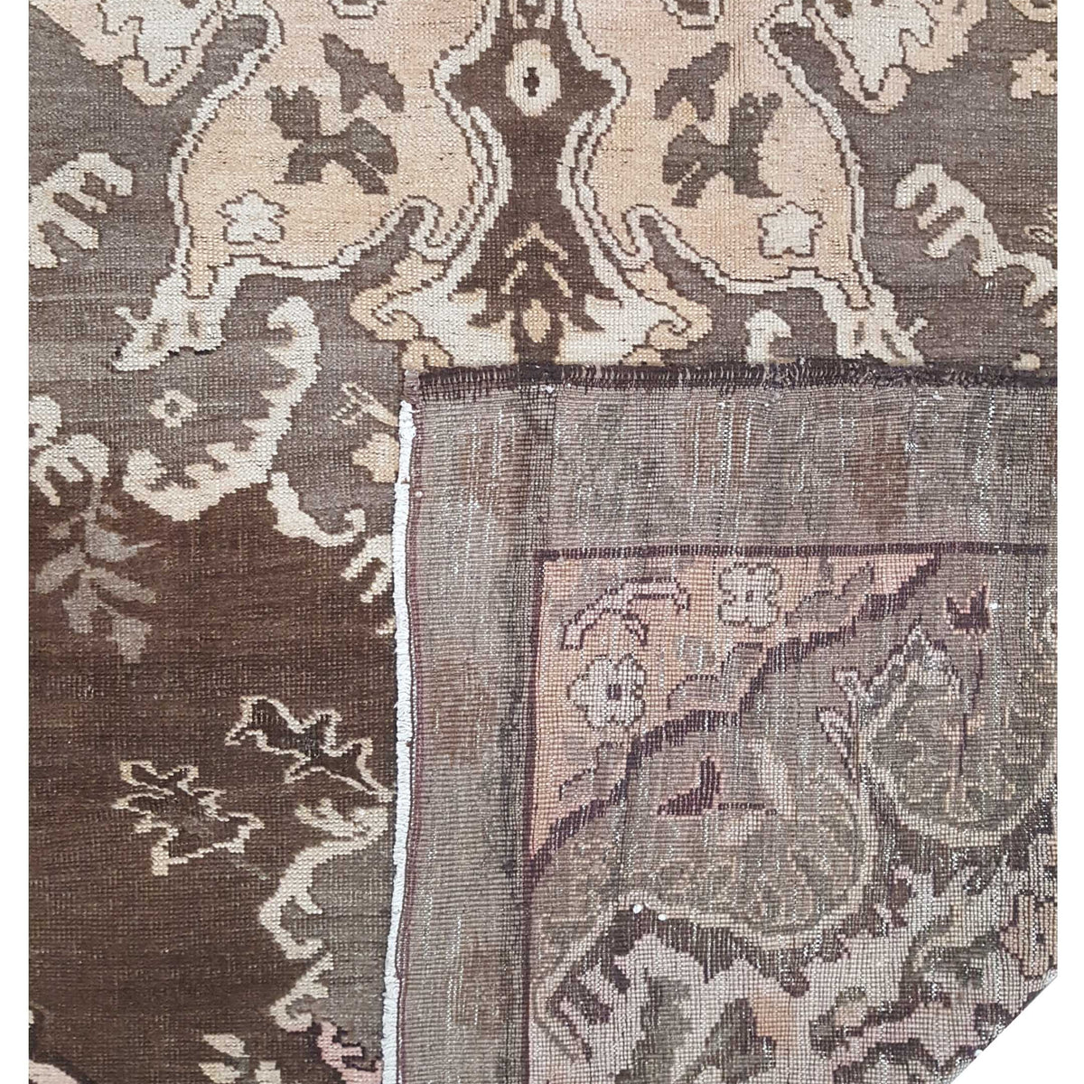 Pacific Kars 73837 Beige Brown Transitional Hand Knotted Rug