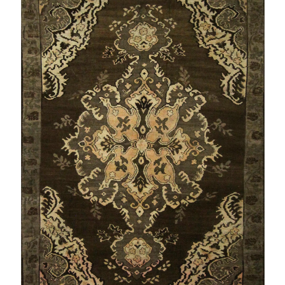 Pacific Kars  Beige Brown Transitional