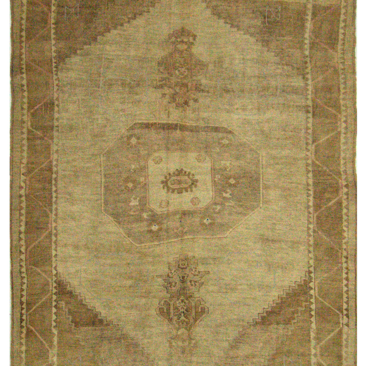 Pacific Kars  Camel Beige Transitional