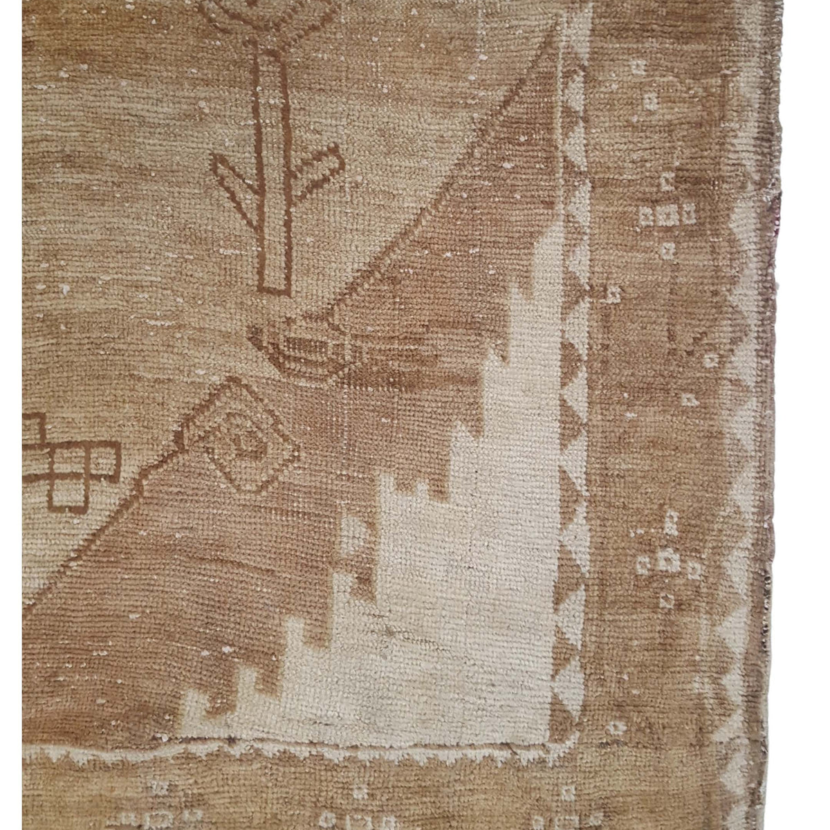 Pacific Kars 73846 Camel Latte Transitional Hand Knotted Rug